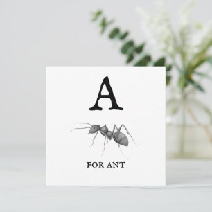 "A" pour Ant