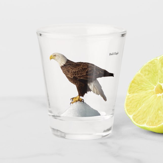 A Shot Bald Eagle verre abattu (Devant)
