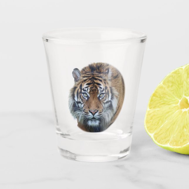 A Shot Belle Tigre Bengale Visage Photo Tirage Verre (Devant)