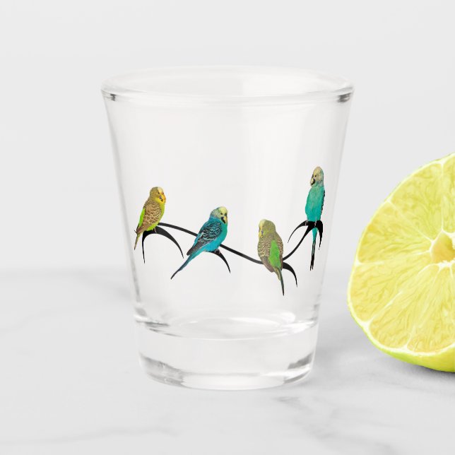A Shot Budgie Frenzy - Verre cadeau (Devant)