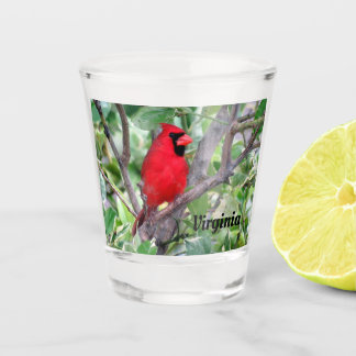 A Shot Cardinal du Nord - Verre de tir d'oiseaux de l'Éta