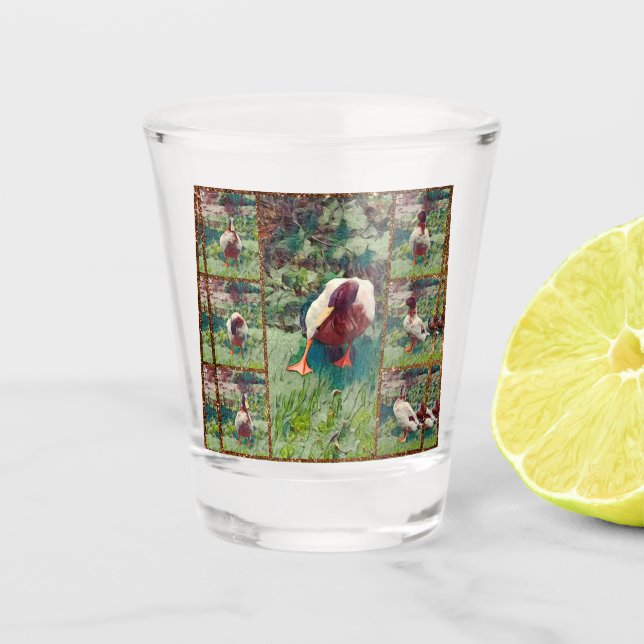 A Shot Collage photo de canard, Verre de tir (Devant)