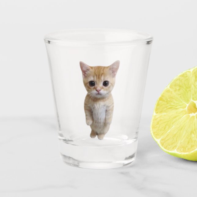 A Shot Coupe de verre El Gato Chat Mème (Devant)