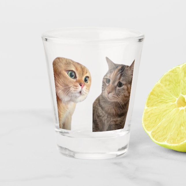 A Shot Tirer du verre parler chats mème (Devant)