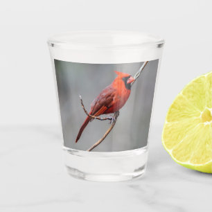 A Shot Verre à liqueur cardinal du nord
