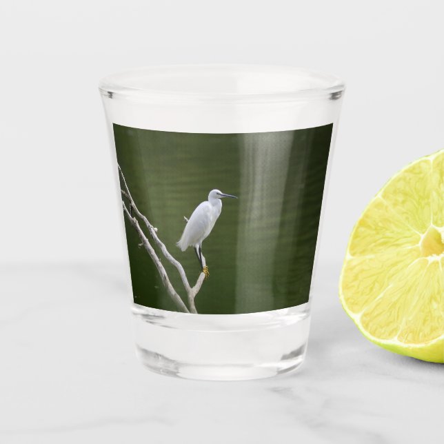 A Shot Verre aigrette garzette (Devant)