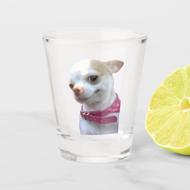 A Shot Verre de tir joli Chihuahua Chig mème (Devant)