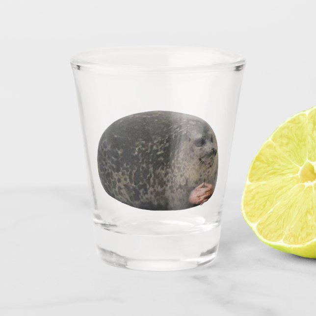 A Shot Verre de tir Judging Seal Meme (Devant)