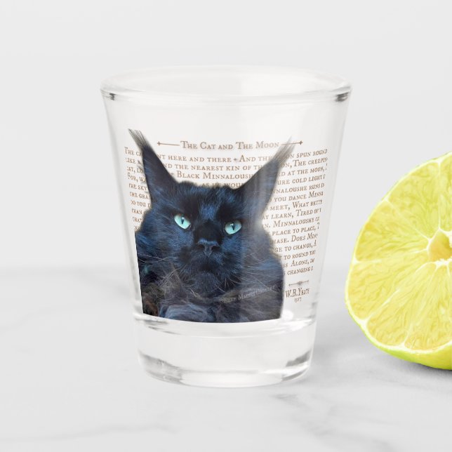 A Shot Verre de tir - noir Maine Coon chat (Devant)