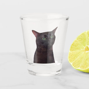 A Shot Verre de tir Zoned out Chat Meme