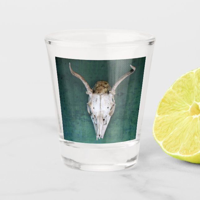 A Shot Verre Tiré Antelope Design crâne (Devant)