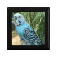 Boîte de garde de bijoux en bois