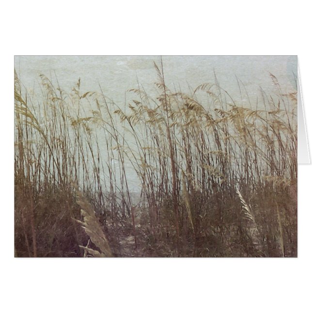 A travers les Dunes II (Devant horizontal)