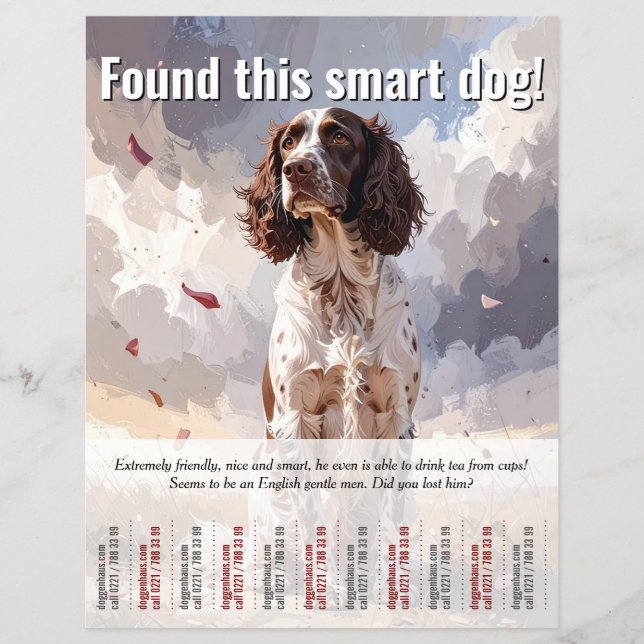 A trouvé un tract à détacher Spaniel (Devant)