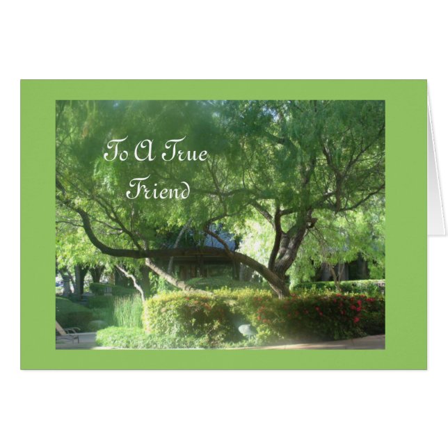 A True friend (Devant horizontal)