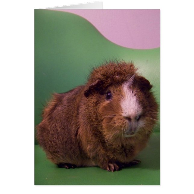 À un homme distingué (Devant)