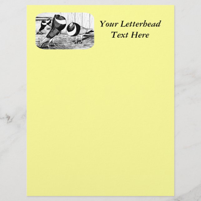 Aachen Band Cropper Pigeons (Devant)