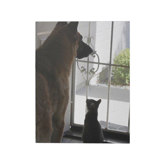 Abby avec Zorro au Bloc-notes de la porte avant (Tourné)