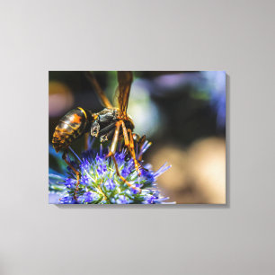 Abee Aware 24" x 18", 1,5", Toile simple enrobée
