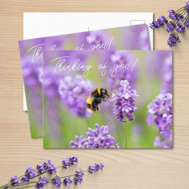 Abee Sur Lavender Penser À Vous Carte Postale (Créateur téléchargé)