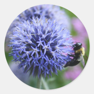 Abeille-ayez les autocollants