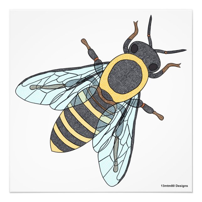 Abeille (blanche) - Impression photo (Devant)