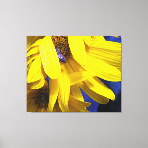 Abeille Bleue Sur Toile Enveloppée De Tournesol Ja