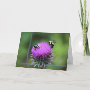Abeille, carte