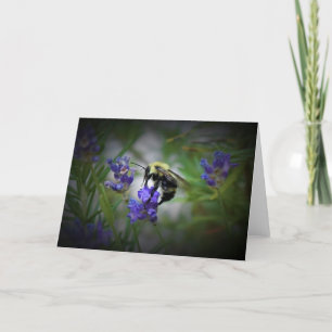 Abeille, carte