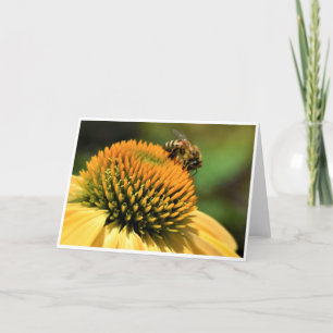 Abeille, carte