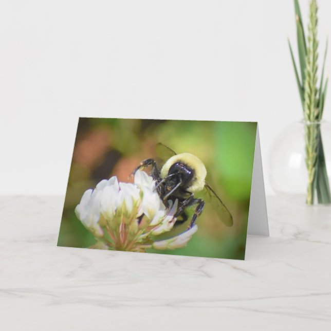 Abeille, carte (Devant)