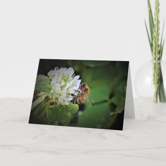 Abeille, carte (Devant)