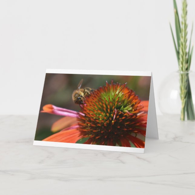 Abeille, carte (Devant)