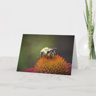 Abeille, carte