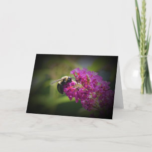 Abeille, carte
