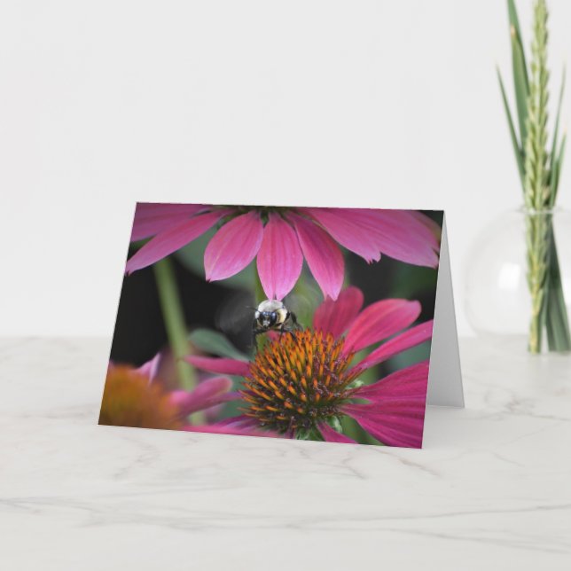 Abeille, carte (Devant)