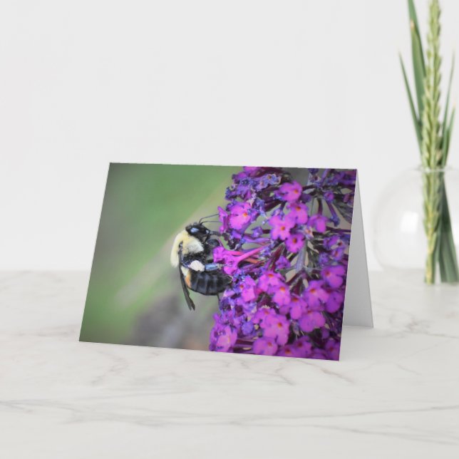 Abeille, carte (Devant)