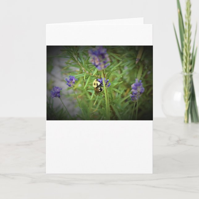 Abeille, carte (Devant)