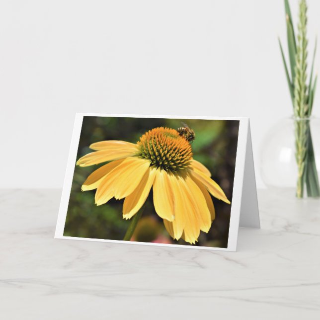 Abeille, carte (Devant)