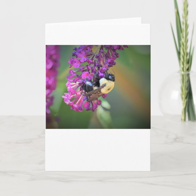 Abeille, carte (Devant)