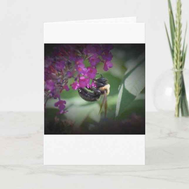 Abeille, carte (Devant)