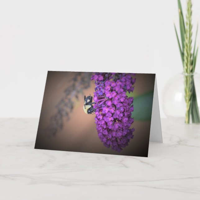 Abeille, carte (Devant)