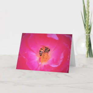 Abeille, carte