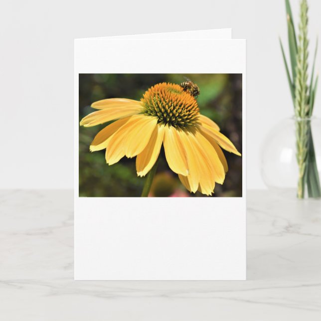Abeille, carte (Devant)