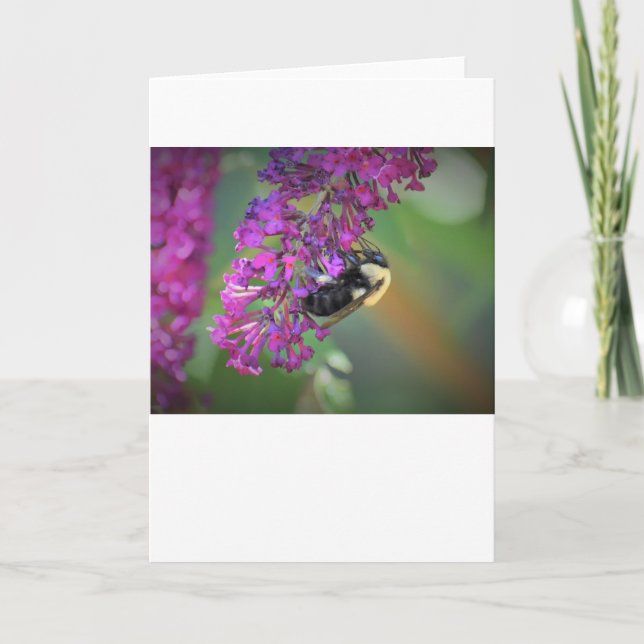 Abeille, carte (Devant)