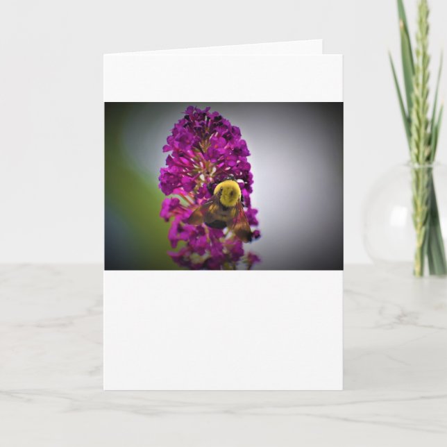 Abeille, carte (Devant)