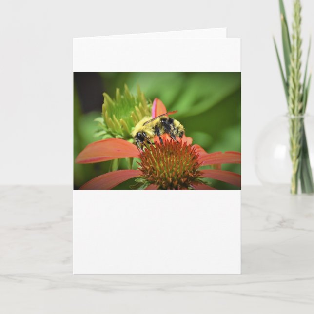 Abeille, carte (Devant)