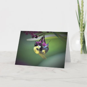 Abeille, carte