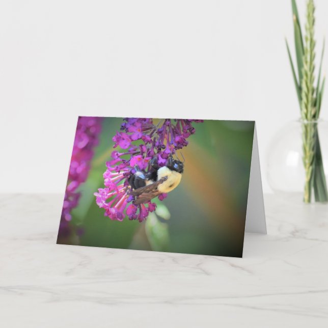Abeille, carte (Devant)