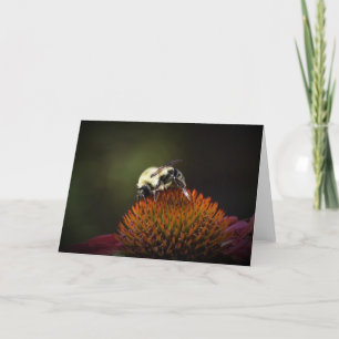 Abeille, carte